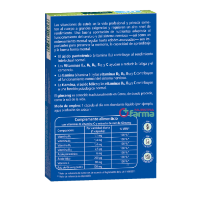 Comprar KNEIPP MEMORIA Y CONCENTRACION 30 CAPSULAS al mejor precio en NuestraFarma, tu farmacia online