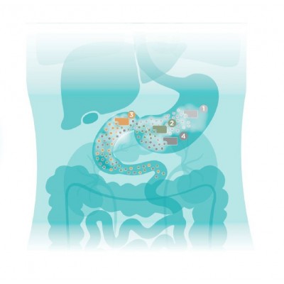 Comprar SERYDORM INMUNO 30 CAPSULAS al mejor precio en NuestraFarma, tu farmacia online