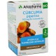 ARKOCAPSULAS CURCUMA BIO 80 CAPSULAS