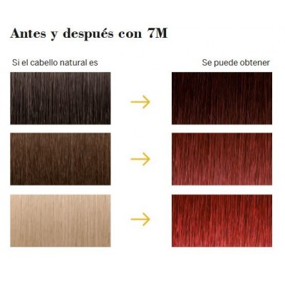 Comprar FARMATINT 7M TONO RUBIO CAOBA 135 ML al mejor precio en NuestraFarma, tu farmacia online