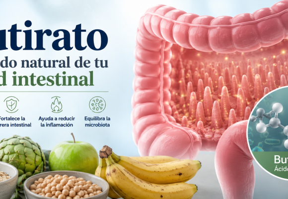 Butirato: beneficios para la salud intestinal, la microbiota y la inflamación